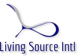 LSI Patio Furniture logo