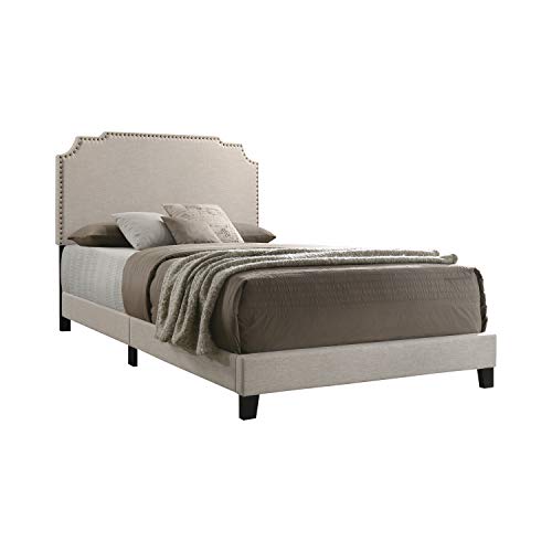Coaster Furniture 310061F Tamarac Upholstered Full Bed with Nailhead Beige Panel, 57.75 x 81.00 x 51.25