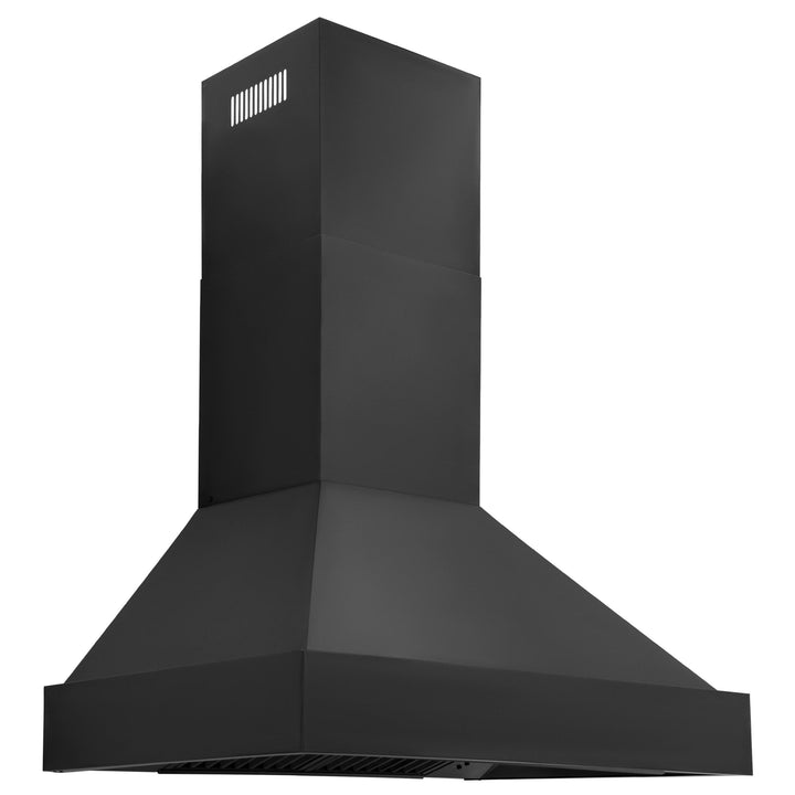 ZLINE KITCHEN AND BATH BS655N30 ZLINE Black Stainless Steel Wall Mount Range Hood Size: 30 Inch