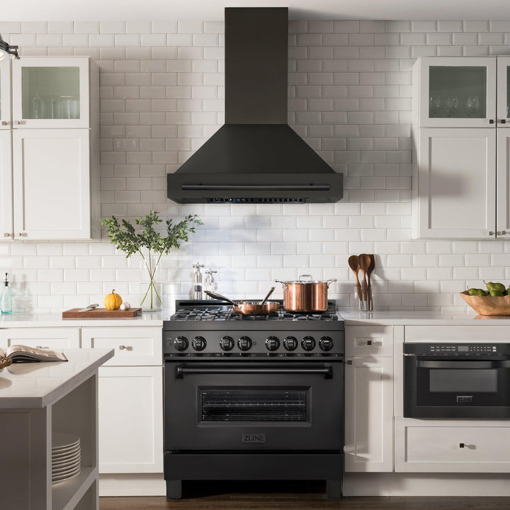 ZLINE KITCHEN AND BATH BS65530BS ZLINE Black Stainless Steel Range Hood with Black Stainless Steel Handle Size: 30 Inch