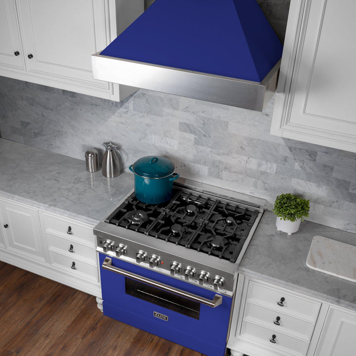 ZLINE KITCHEN AND BATH 8654BM30 ZLINE Ducted ZLINE DuraSnow Stainless Steel R Range Hood with Blue Matte Shell Size: 30 Inch