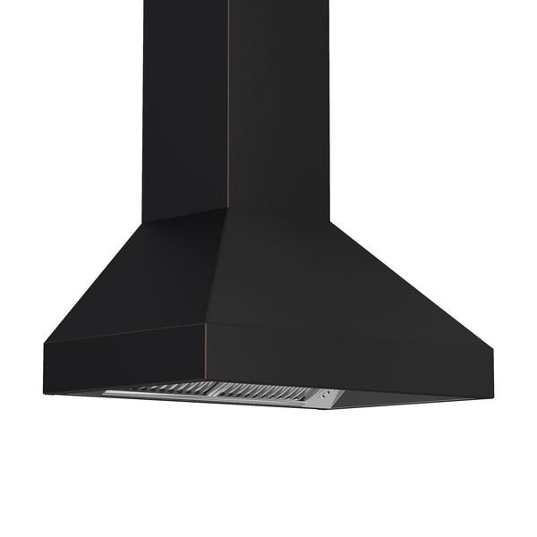 ZLINE KITCHEN AND BATH 8667B30 ZLINE Designer Series Wall Mount Range Hood Size: 30 Inch