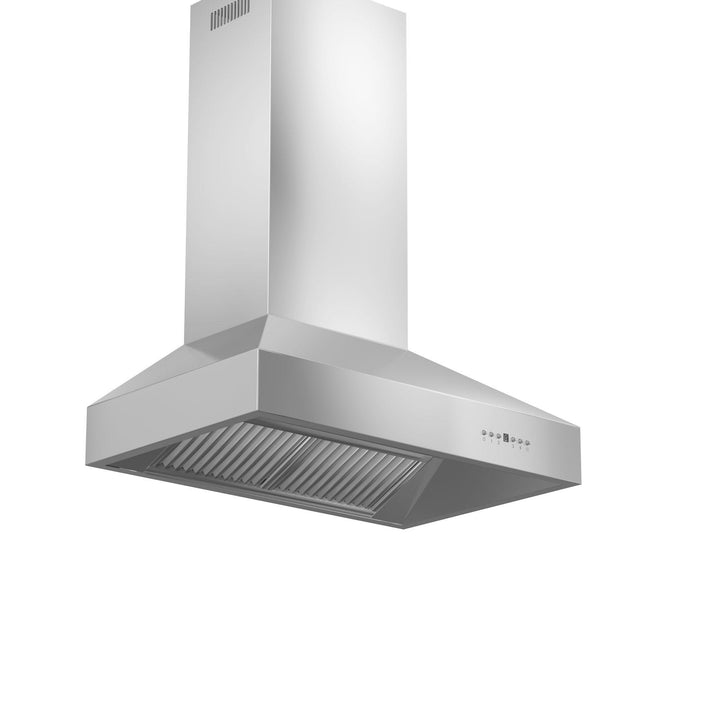 ZLINE KITCHEN AND BATH 66730 ZLINE Professional Ducted Wall Mount Range Hood in Stainless Steel Size: 30 Inch