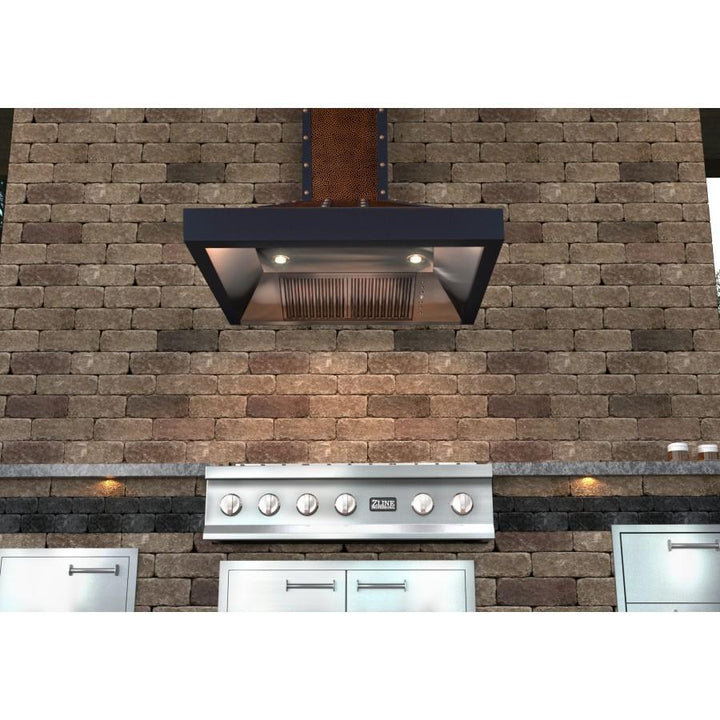 ZLINE KITCHEN AND BATH 655HBBBB30 ZLINE Designer Series Wall Mount Range Hood Size: 30 inch