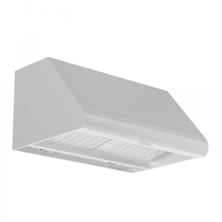 ZLINE KITCHEN AND BATH 52730 ZLINE Convertible Vent Under Cabinet Range Hood in Stainless Steel Size: 30 Inch