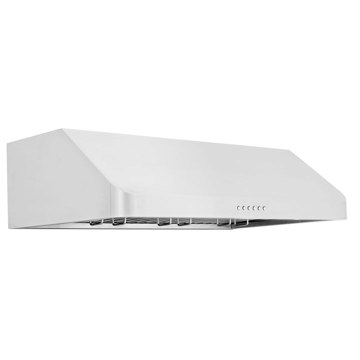 ZLINE KITCHEN AND BATH ALP10UC30 ZLINE Alpine Series Ducted Under Cabinet Range Hood in Stainless Steel Size: 30 Inch