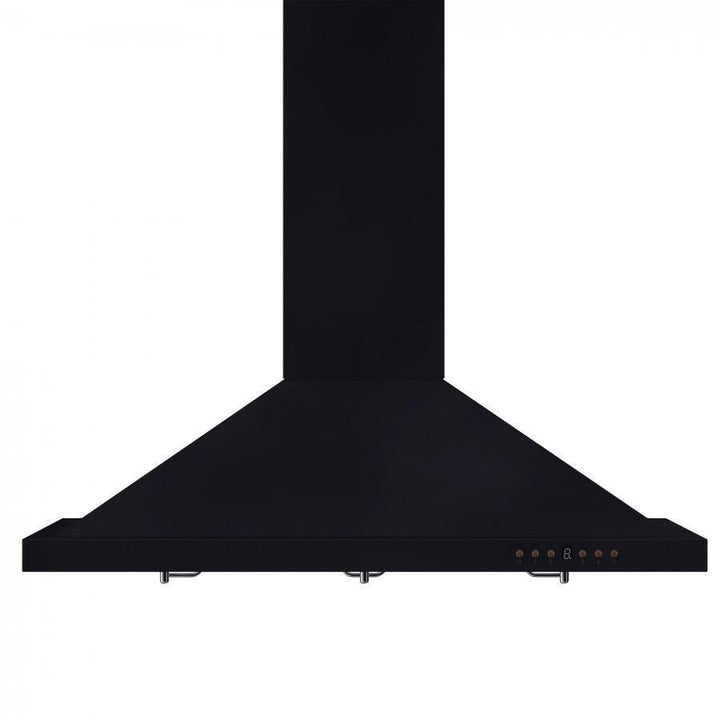 ZLINE KITCHEN AND BATH 8KBB30 ZLINE Designer Series Wall Mount Range Hood Size: 30 inch