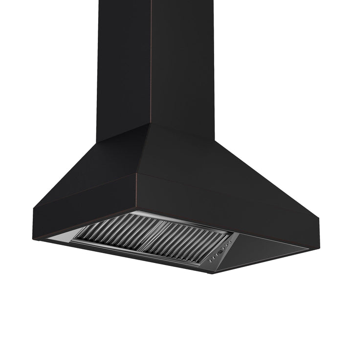 ZLINE KITCHEN AND BATH 8667B30 ZLINE Designer Series Wall Mount Range Hood Size: 30 Inch