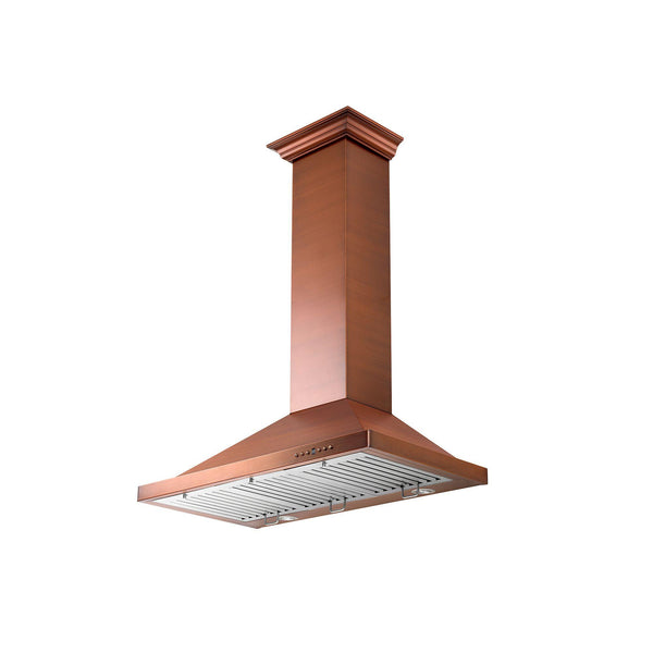 ZLINE KITCHEN AND BATH 8KBC30 ZLINE Designer Series Wall Mount Range Hood Size: 30 inch