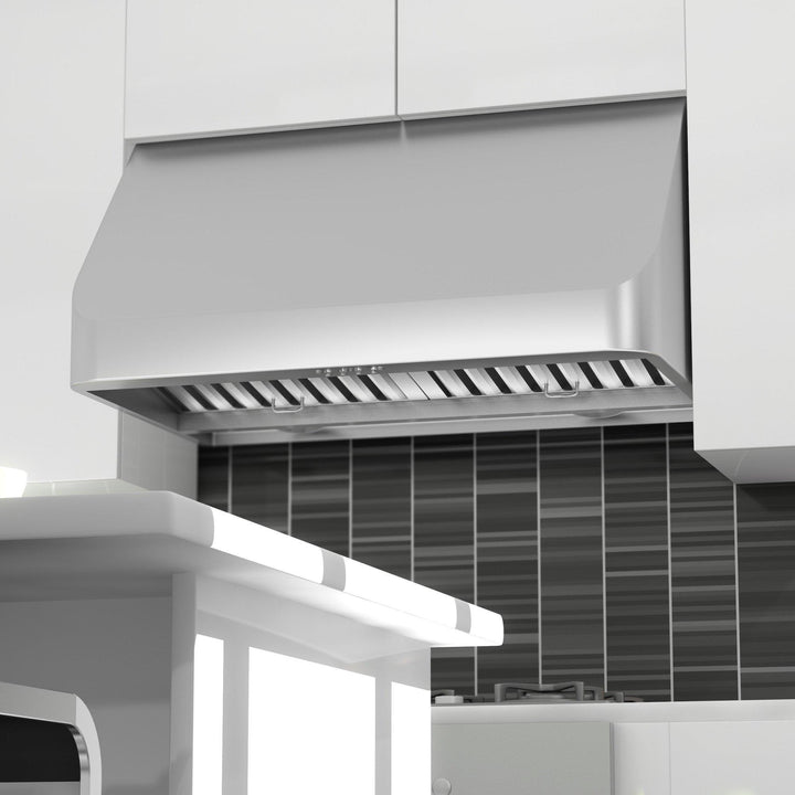 ZLINE KITCHEN AND BATH 52030 ZLINE Convertible Vent Under Cabinet Range Hood in Stainless Steel Size: 30 Inch