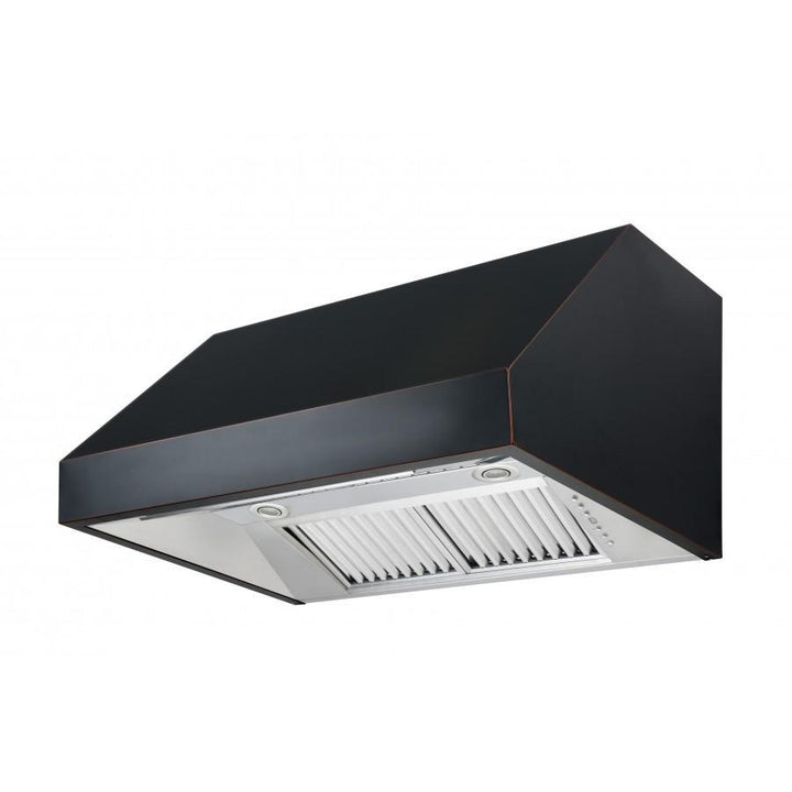 ZLINE KITCHEN AND BATH 8685B30 ZLINE Designer Series Under Cabinet Range Hood Size: 30 Inch